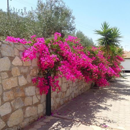 Villa Bamour With Paradise View Epidaurus Εξωτερικό φωτογραφία